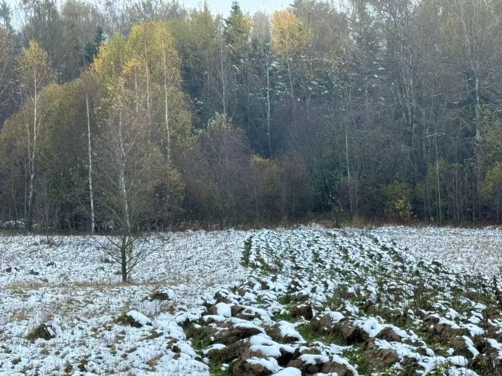 Участок в Московская область, Солнечногорск городской округ, д. ... - Фото 1