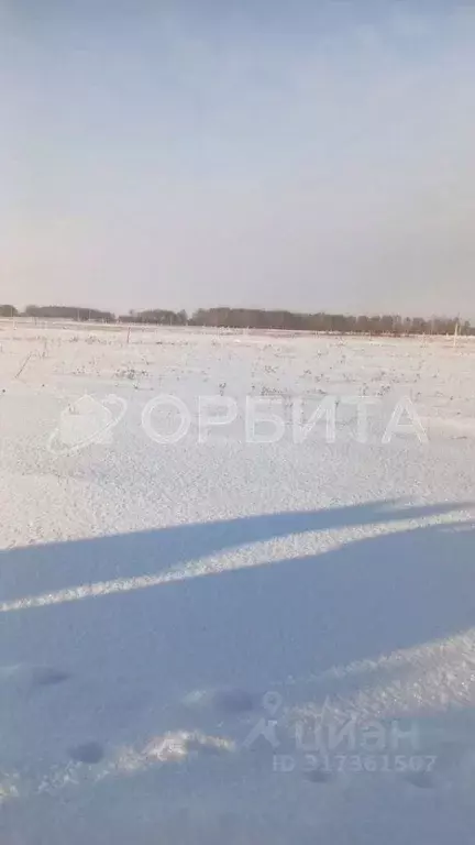 Участок в Тюменская область, Тюменский район, Серебряный бор ТСН  ... - Фото 0
