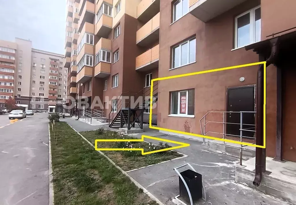 Помещение свободного назначения в Новосибирская область, Новосибирск ... - Фото 2