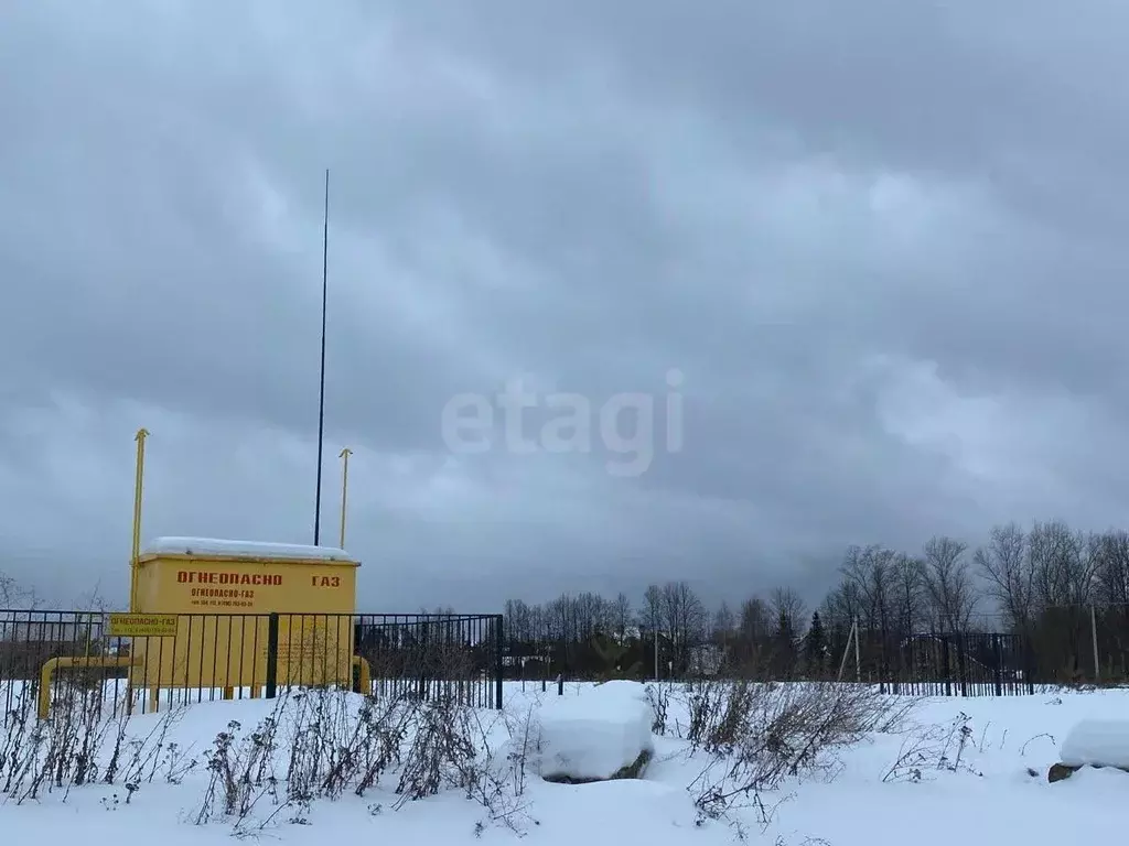Участок в Московская область, Домодедово городской округ, с. Красный ... - Фото 2