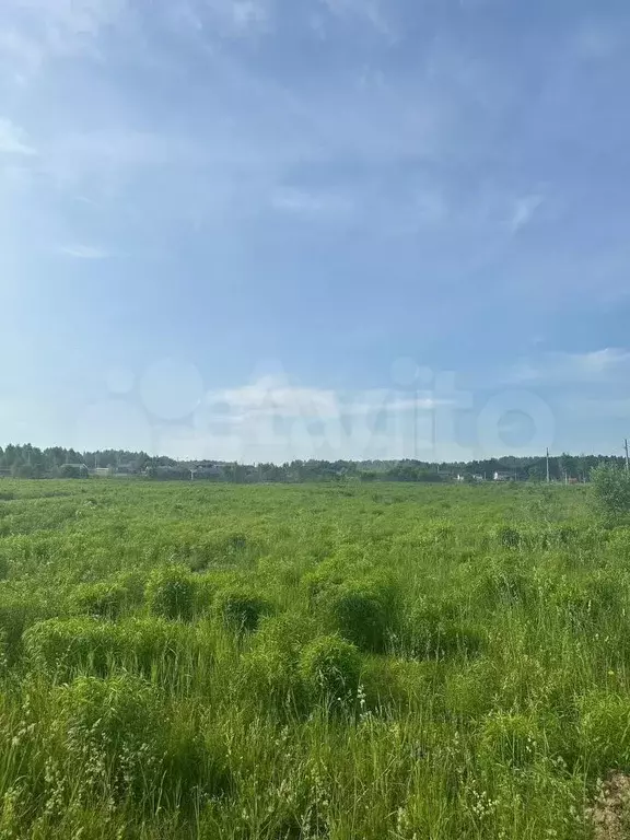 Участок 91 сот. (личное подсобное хозяйство (лпх)) - Фото 1