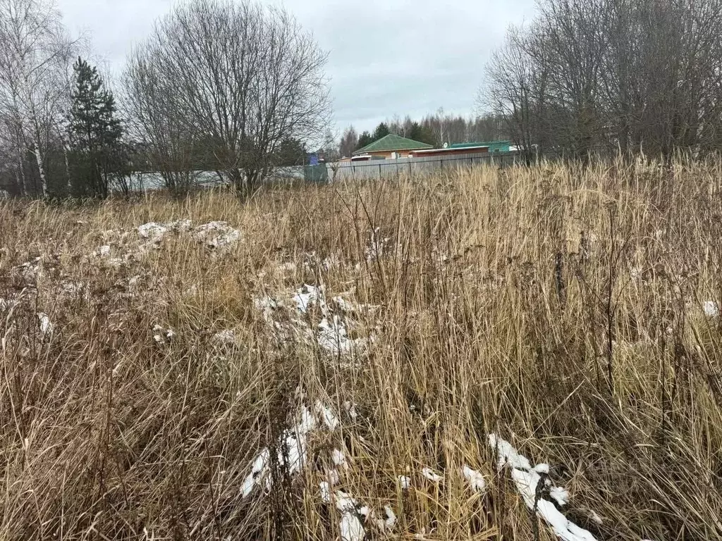 Участок в Московская область, Богородский городской округ, д. ... - Фото 0