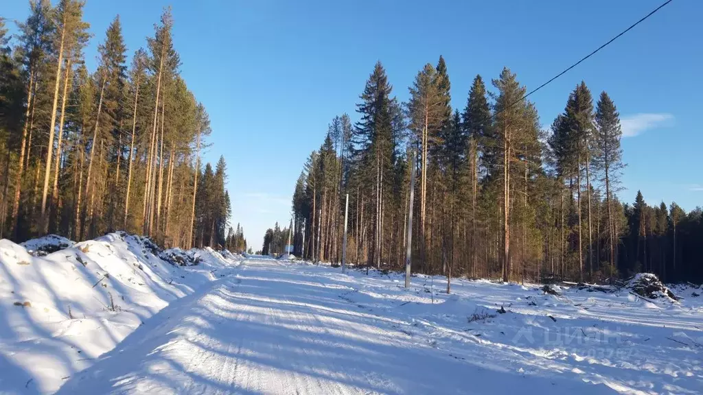 Участок в Свердловская область, Ревда ул. Ракитовая (8.5 сот.) - Фото 0