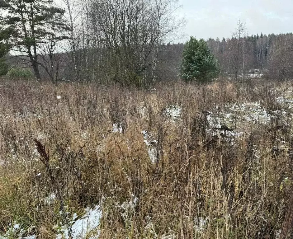 Участок в Московская область, Богородский городской округ, д. ... - Фото 0