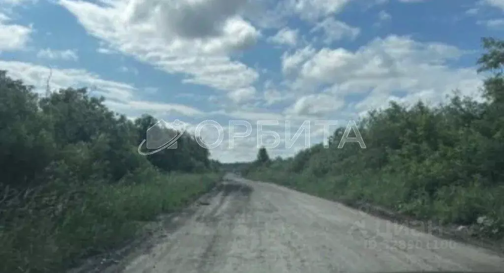 Участок в Тюменская область, Тюмень Ясень садовое товарищество, ул. ... - Фото 1