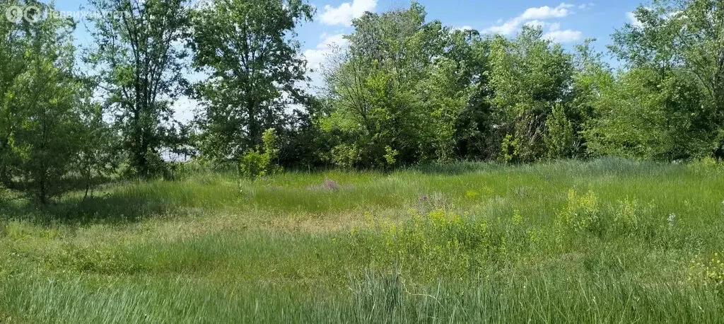 Участок в село Квасниковка, улица Дружбы, 55 (25 м) - Фото 1