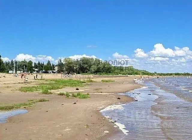 Участок в Новгородская область, Новгородский район, Ракомское с/пос, ... - Фото 1