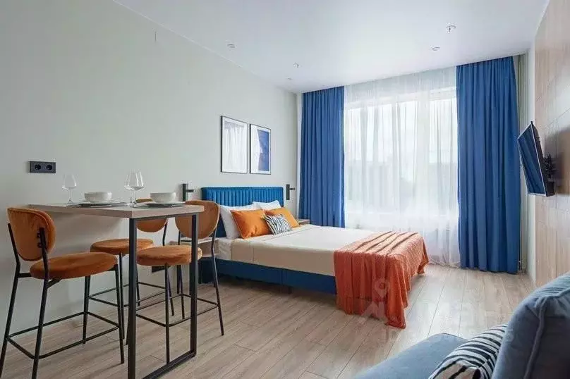 1-к кв. Санкт-Петербург просп. Энергетиков, 8к2 (28.0 м) - Фото 2