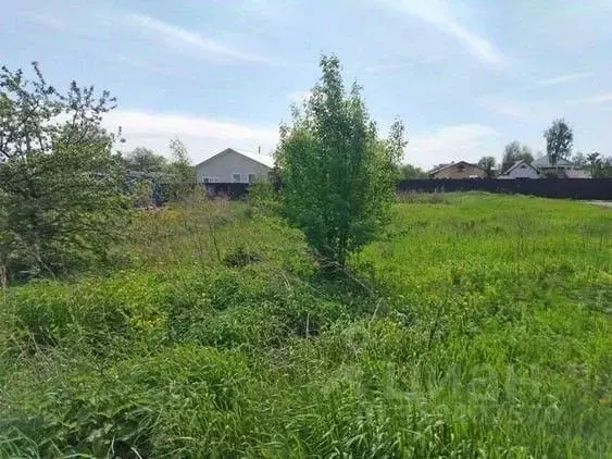 Участок в Московская область, Черноголовка городской округ, д. Ботово ... - Фото 0