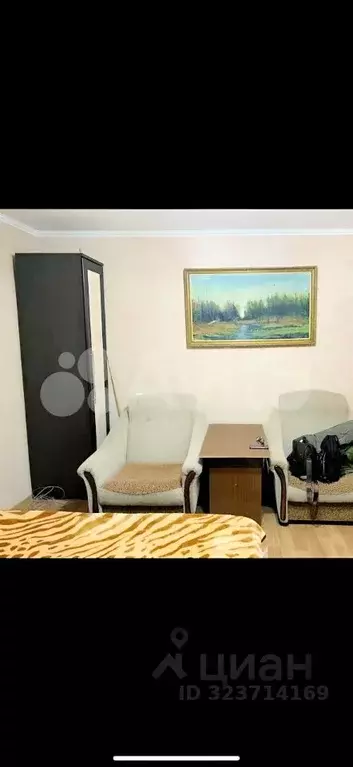 1-к кв. Рязанская область, Спасский муниципальный округ, с. Собчаково ... - Фото 2