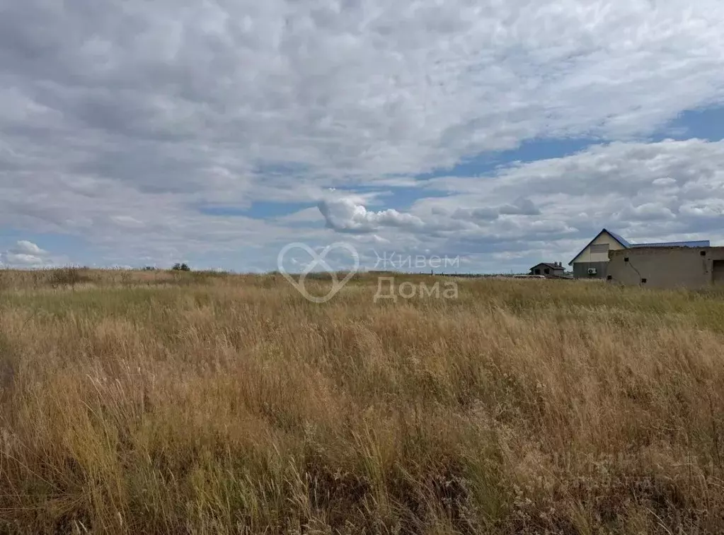 Участок в Волгоградская область, Среднеахтубинский район, ... - Фото 1