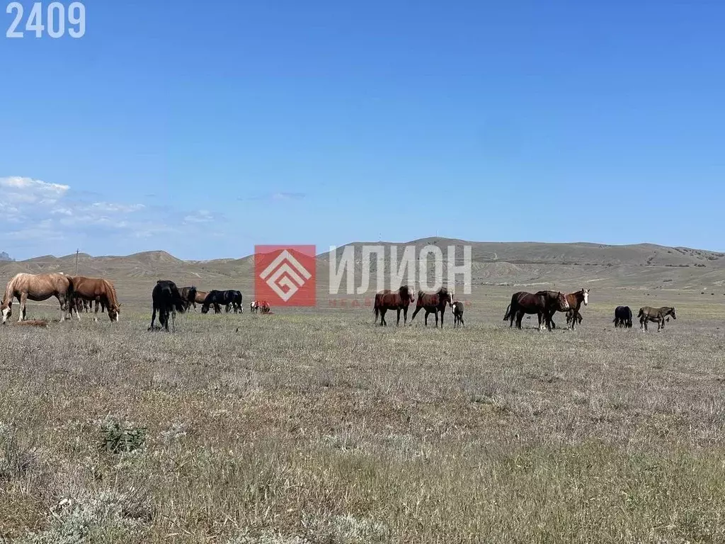 Участок в Крым, Судак муниципальный округ, с. Миндальное  (50.0 сот.) - Фото 1
