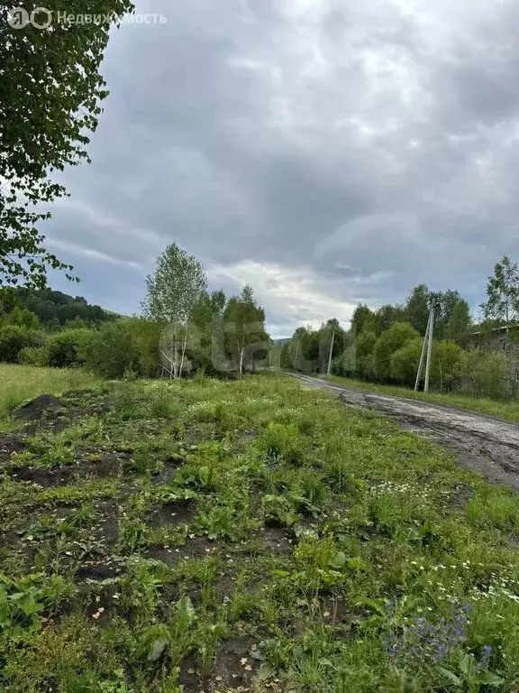 Участок в Горно-Алтайск, Сосновая улица (10000 м) - Фото 1