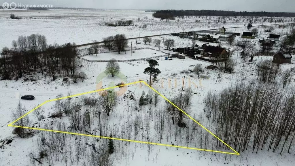 Участок в Волосовский район, Большеврудское сельское поселение, ... - Фото 1