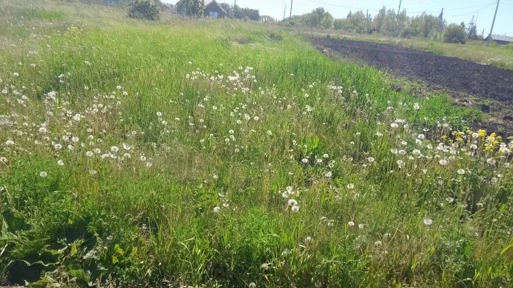 Участок в Мордовия, Лямбирский район, с. Первомайск  (14.0 сот.) - Фото 2