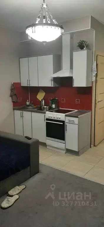 Студия Санкт-Петербург ул. Русановская, 9 (27.3 м) - Фото 1