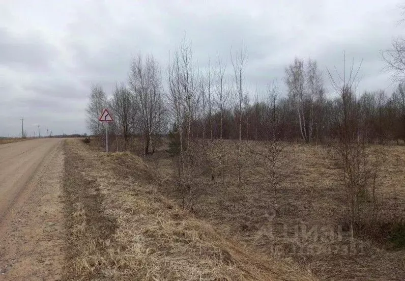 Участок в Московская область, Дмитровский муниципальный округ, д. ... - Фото 1