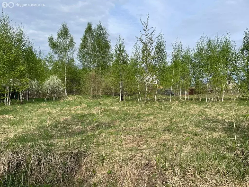 Участок в Медынь, Спортивная улица, 3 (10 м) - Фото 1