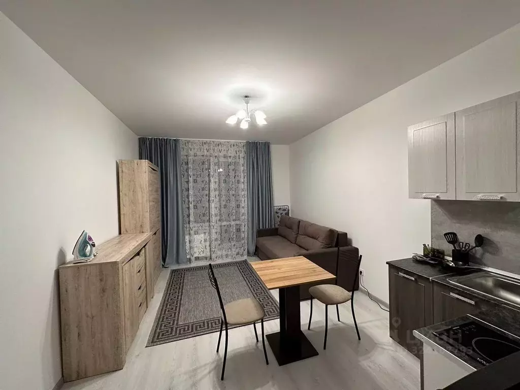 Студия Санкт-Петербург аллея Арцеуловская, 19 (25.0 м) - Фото 1