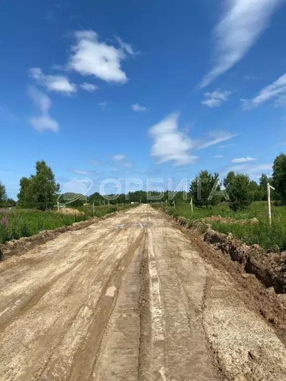 Участок в Тюменская область, Нижнетавдинский район, д. Штакульская  ... - Фото 0