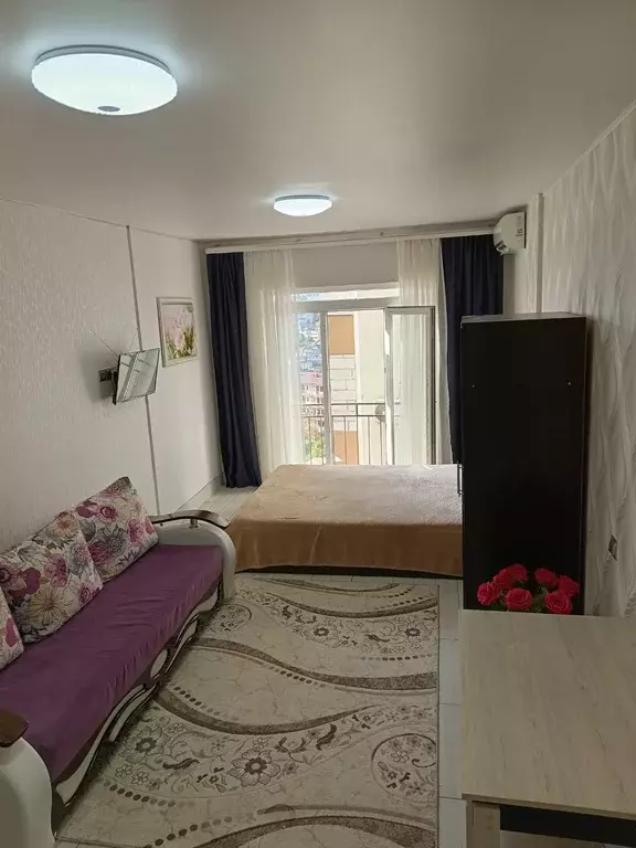 Продаётся квартира-студия, 25.9 м - Фото 1