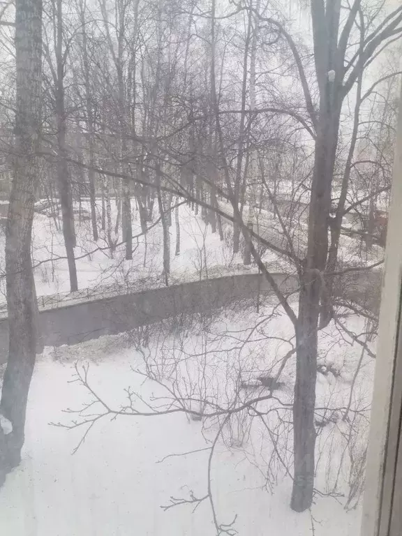 1-к кв. Санкт-Петербург Бестужевская ул., 61 (35.0 м) - Фото 2