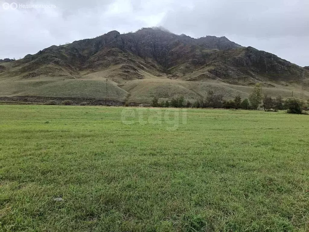 Участок в Республика Алтай, село Онгудай (50 м) - Фото 2