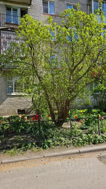 3-к кв. Санкт-Петербург ул. Демьяна Бедного, 26к3 (59.4 м) - Фото 0