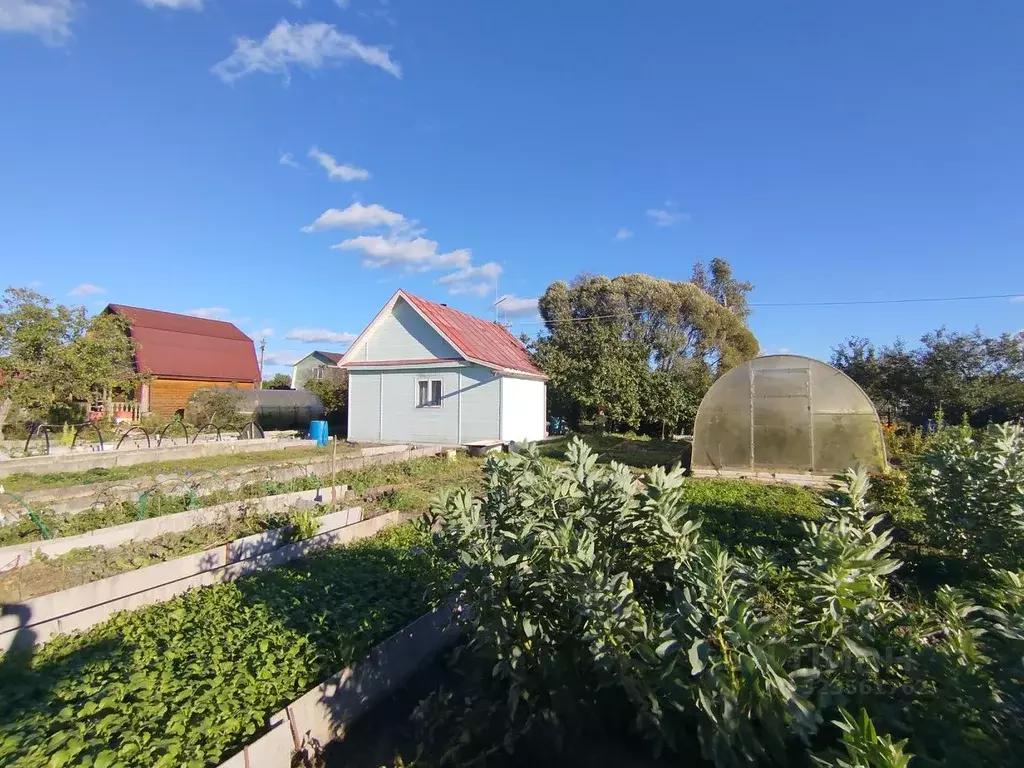 Дом в Новгородская область, Новгородский район, Панковское городское ... - Фото 2