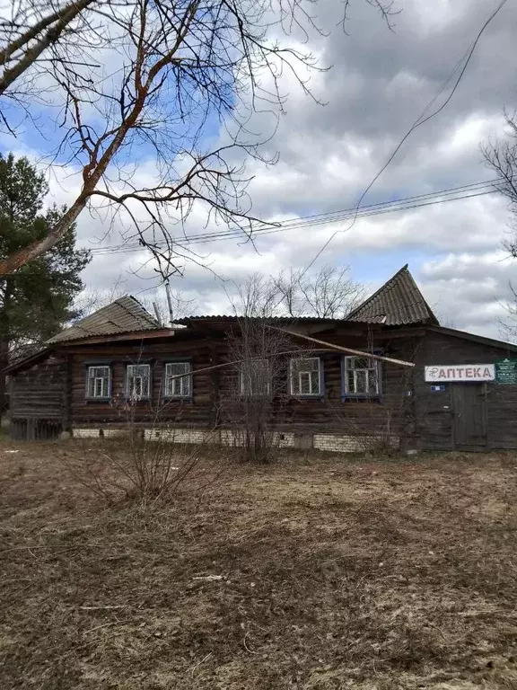 Помещение свободного назначения в Мордовия, Дубенский район, с. ... - Фото 1