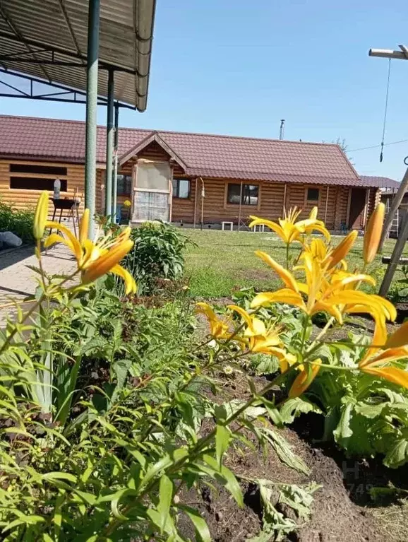 Дом в Алтайский край, Барнаул Дружба СНТ, 43/18 (64 м) - Фото 1