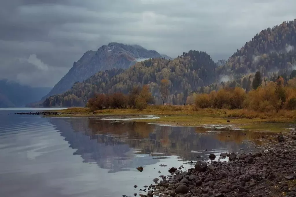 Участок в Алтай, Турочакский район, с. Артыбаш  (10.0 сот.) - Фото 1