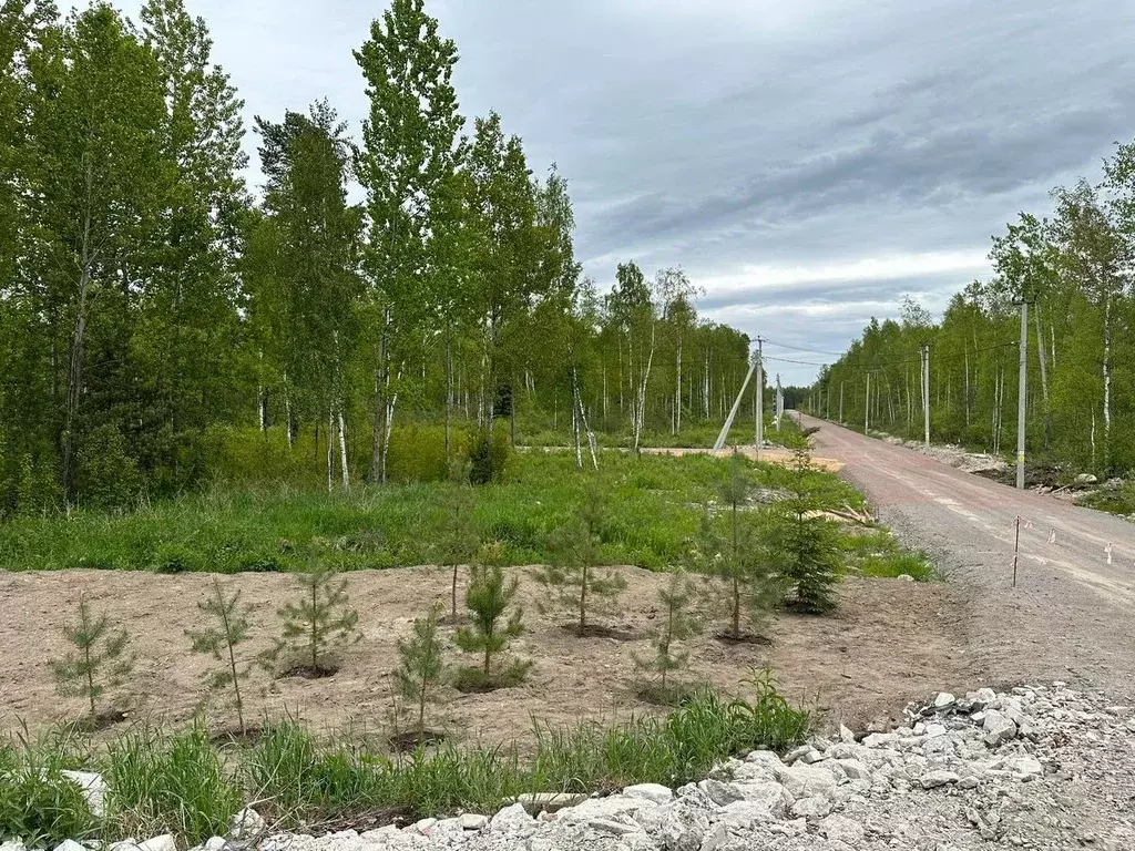 Участок в Ленинградская область, Всеволожский район, Рахьинское ... - Фото 0