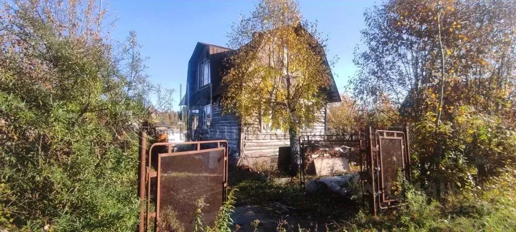 Дом в Ленинградская область, Гатчинский район, Чаща садоводческий ... - Фото 0
