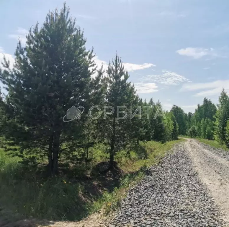 Участок в Тюменская область, Тюменский район, Новокаменский кп ул. ... - Фото 0