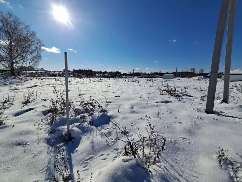 Участок в Новосибирская область, Мошковский район, пос. Октябрьский ... - Фото 1