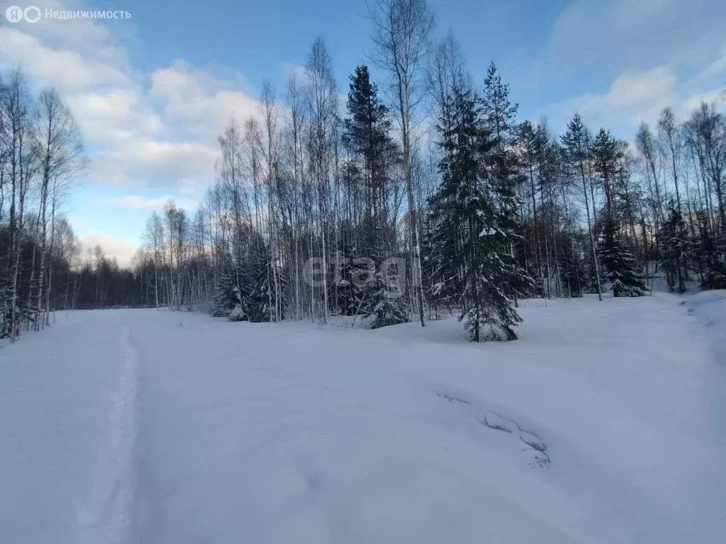 Участок в Всеволожский район, Лесколовское сельское поселение, деревня ... - Фото 1