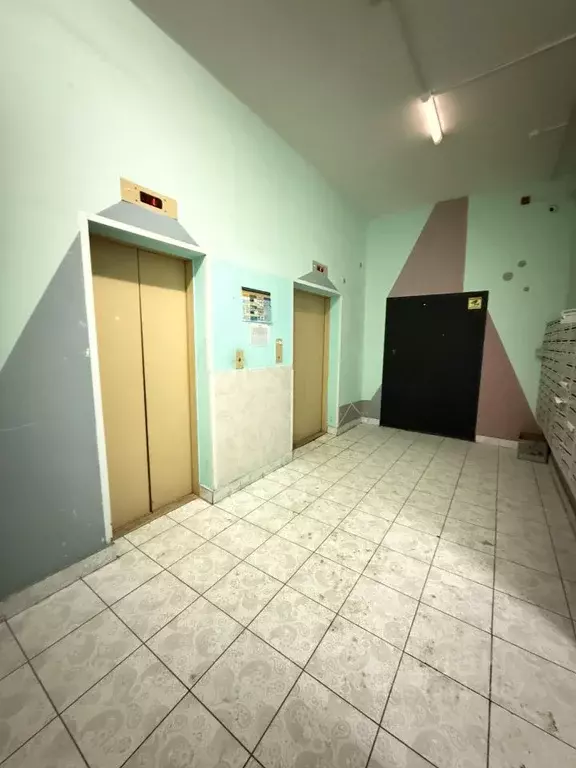 Студия Московская область, Старая Купавна Богородский городской округ, ... - Фото 2