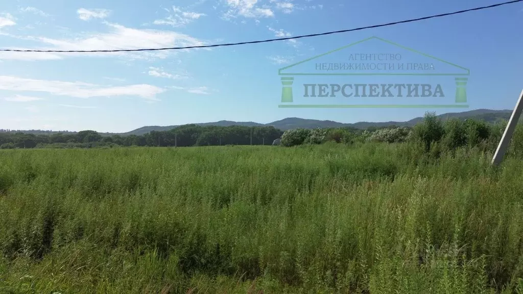 Участок в Приморский край, Артем ул. Павла Познякова, 54 (12.26 сот.) - Фото 1