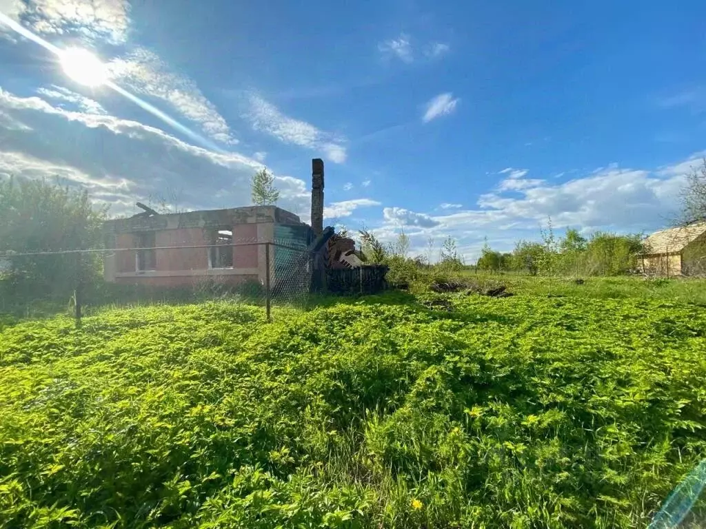 Участок в Калужская область, Перемышльский район, Хотисино с/пос, д. ... - Фото 2
