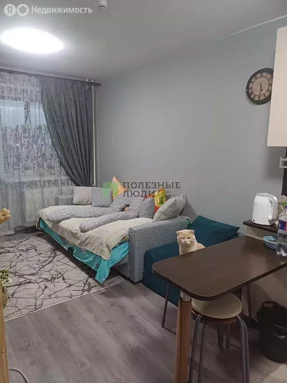 Квартира-студия: село Октябрьский, Полесская улица, 4 (22.3 м) - Фото 1
