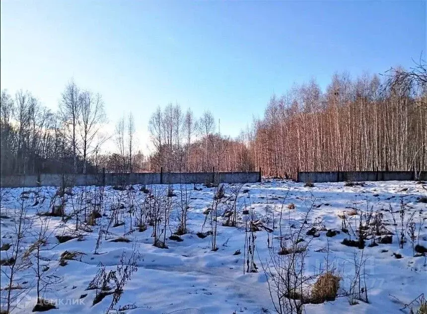 Участок в Омская область, Омский район, пос. Омский ул. Яблоневый сад ... - Фото 2