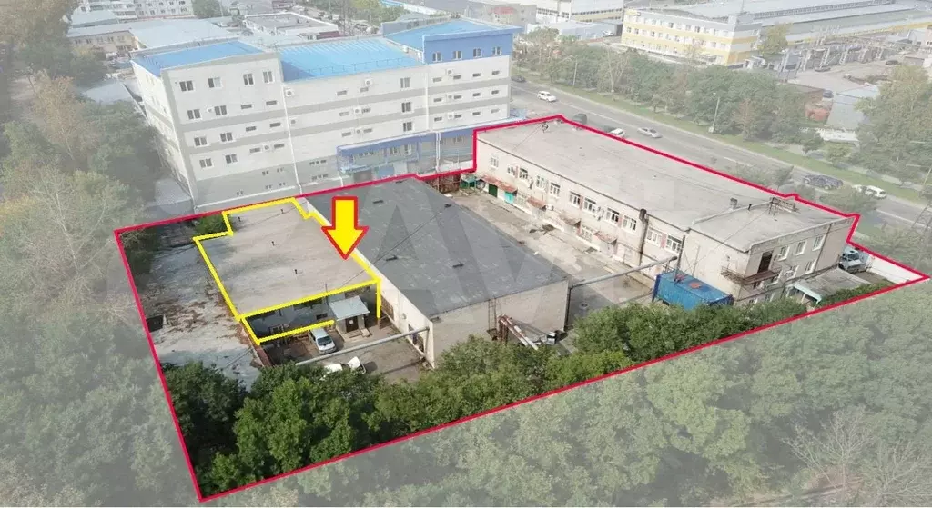 Холодный склад в центре Хабаровска 279 кв. м - Фото 0