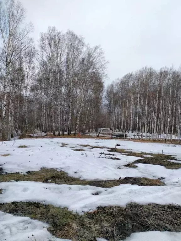 Участок в Новосибирская область, Новосибирский район, Плотниковский ... - Фото 1