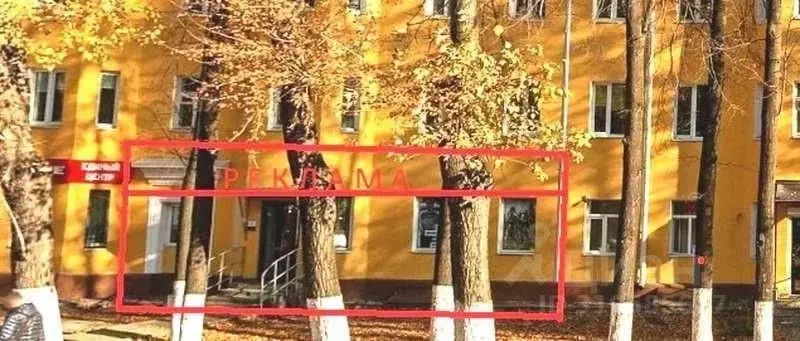 Торговая площадь в Нижегородская область, Нижний Новгород просп. ... - Фото 1