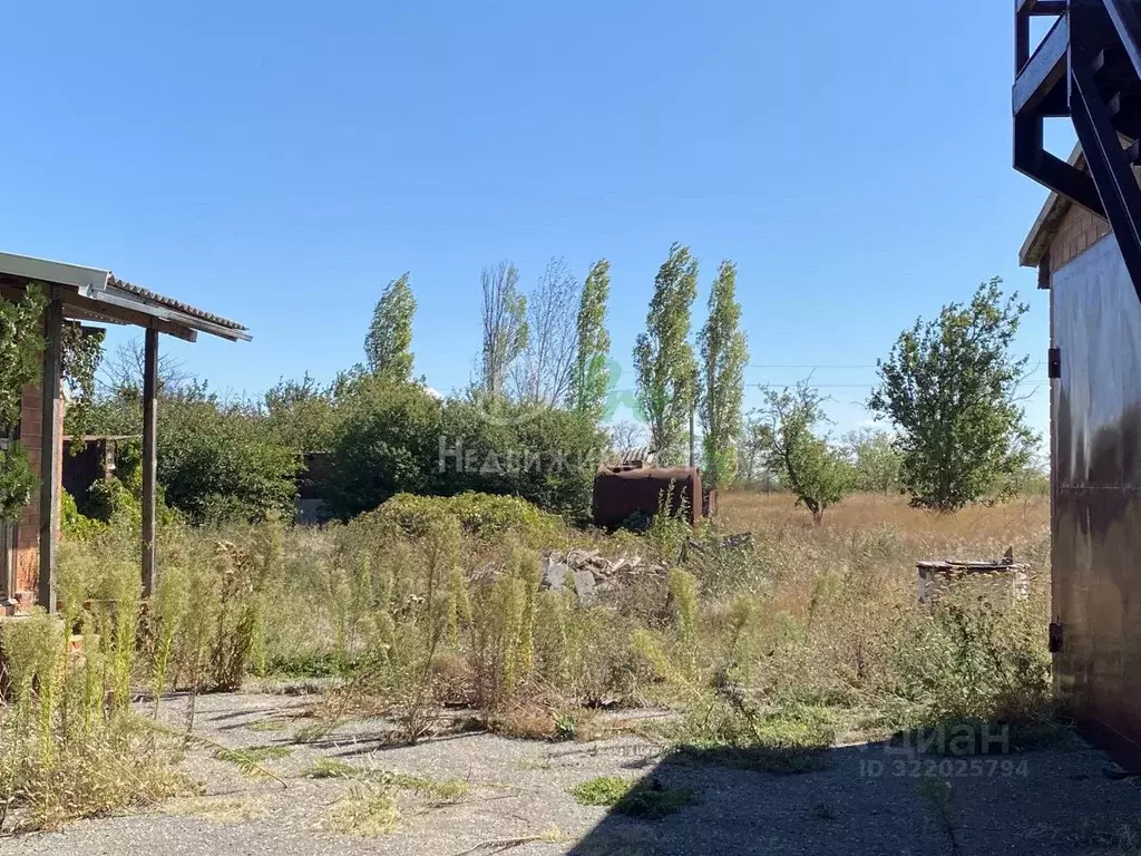 Участок в Краснодарский край, Ейский район, Должанская ст-ца ... - Фото 2