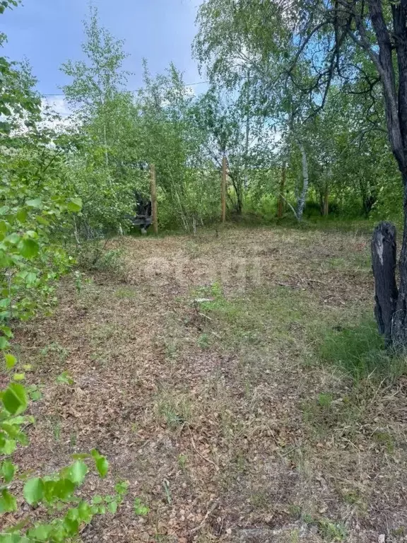 Участок в Саха (Якутия), Якутск городской округ, с. Владимировка  ... - Фото 1