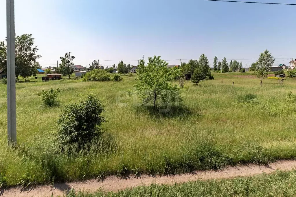 Участок в Алтайский край, Первомайский район, с. Санниково, Овощевод ... - Фото 2