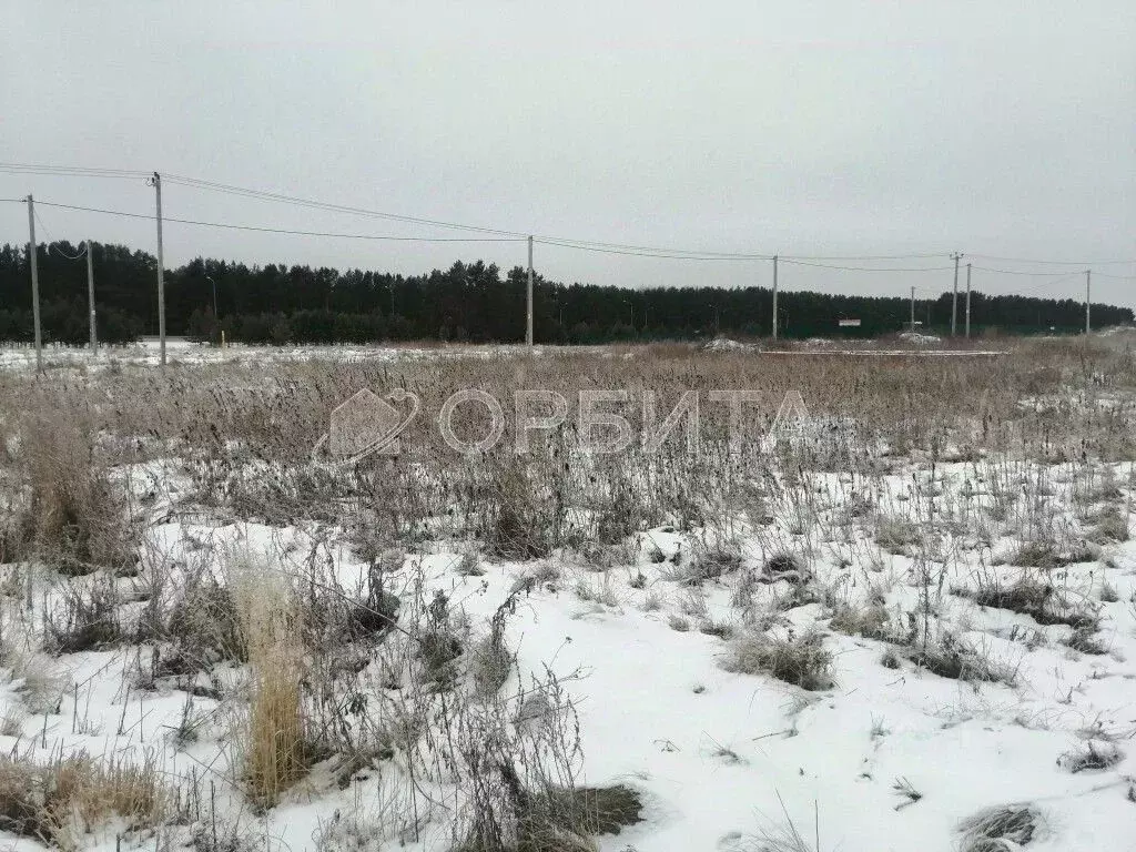 Участок в Тюменская область, Тюменский район, с. Борки  (10.0 сот.) - Фото 1