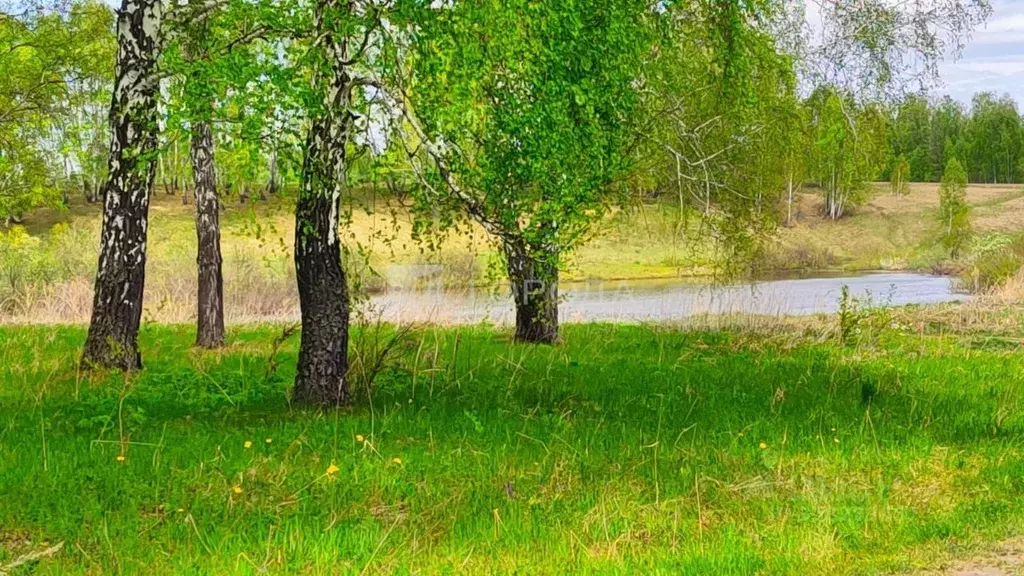 Участок в Новосибирская область, Новосибирский район, Каменский ... - Фото 0